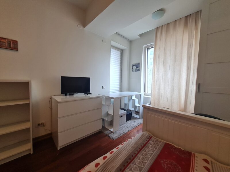 Dristor In City  - Dudesti