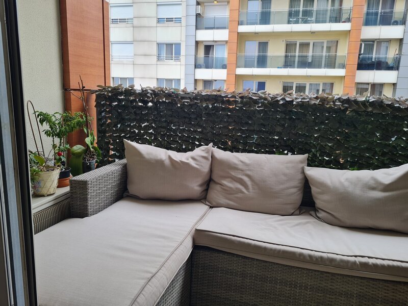 Dristor In City  - Dudesti